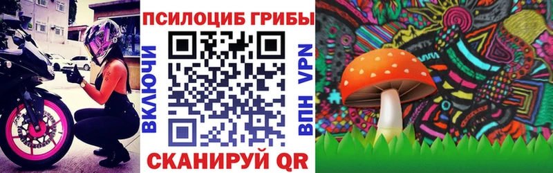 где продают наркотики  Феодосия  Псилоцибиновые грибы мицелий 